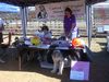 /images/events/6/DOGFEST 2007 012-thumb.jpg